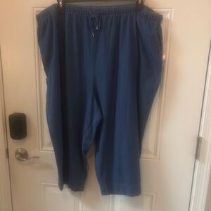 Coral Bay Blue Cropped Ankle Jeans with Elastic Waist